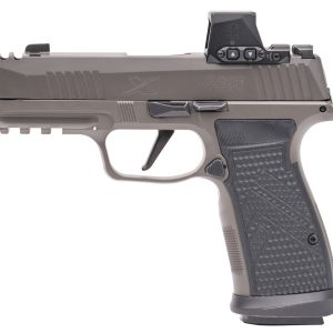 P365 AXG LEG 3.1" 17+1 ROMEO-X