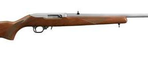 10/22 22LR SS/WD 22"