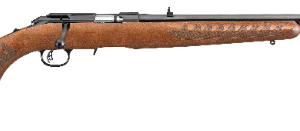 AMERICAN 22LR BL/WD 22" 10+1