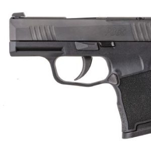 P365 380ACP BLK 10+1 NS